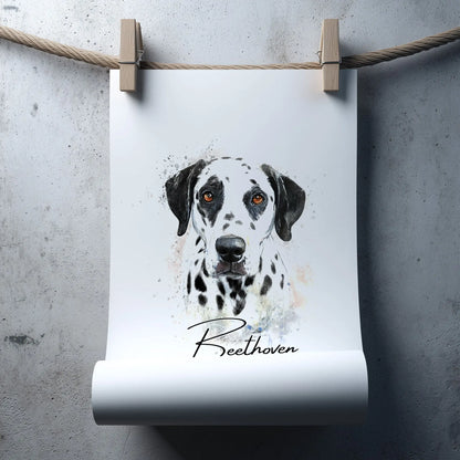 Aquarell-Tierportrait eines schwarz weißen Dalmatiners mit dunklen Augen im Wasserfarben-Stil auf Fine-Art Papier in 50x 70 cm. Frontal an einer grauen Wand hängend. Mit Wäscheklammern an einem Seil befestigt. Das Poster rollt sich unten auf.