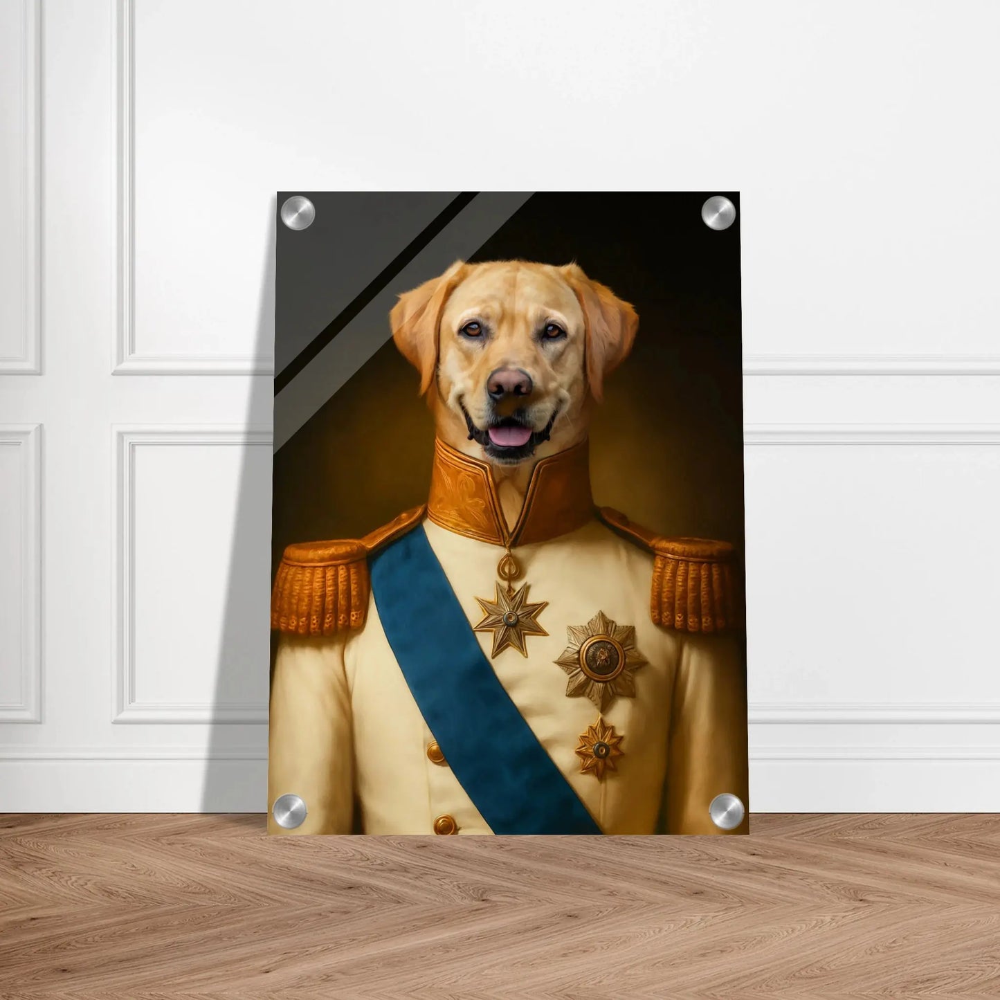 Renaissance Tierportrait eines beigen Labrador Retrievers im Kleidungsstil einer Admiralsuniform. Auf Acrylglas in 30x40 cm. Frontal an einer weissen Wand lehnend.
