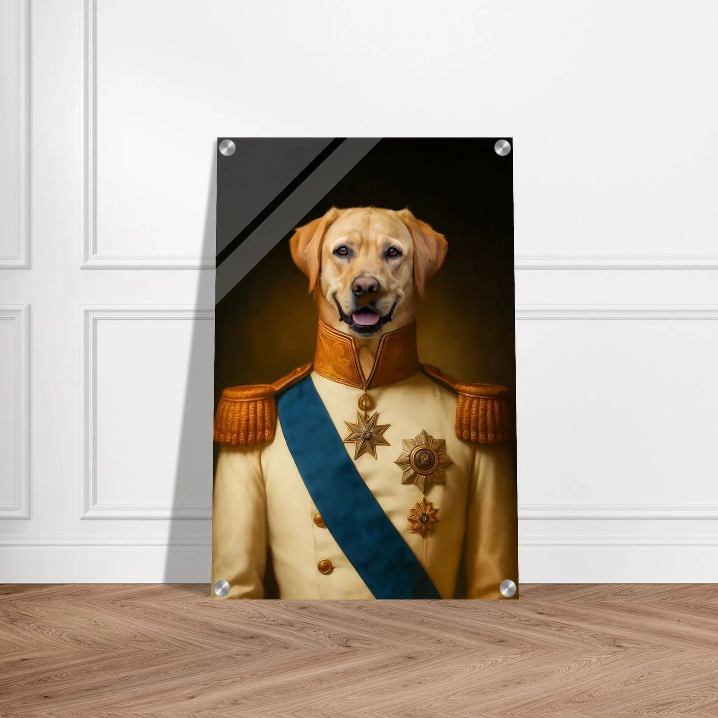 Renaissance Tierportrait eines beigen Labrador Retrievers im Kleidungsstil einer Admiralsuniform. Auf Acrylglas in 40x60 cm. Frontal an einer weissen Wand lehnend.