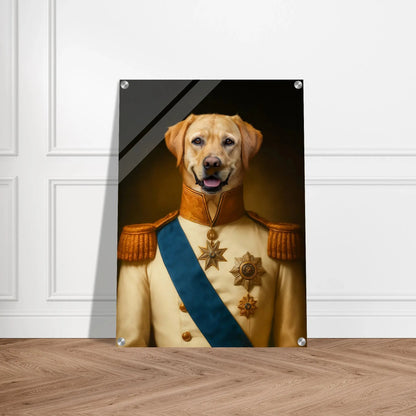 Renaissance Tierportrait eines beigen Labrador Retrievers im Kleidungsstil einer Admiralsuniform. Auf Acrylglas in 50x70 cm. Frontal an einer weissen Wand lehnend.