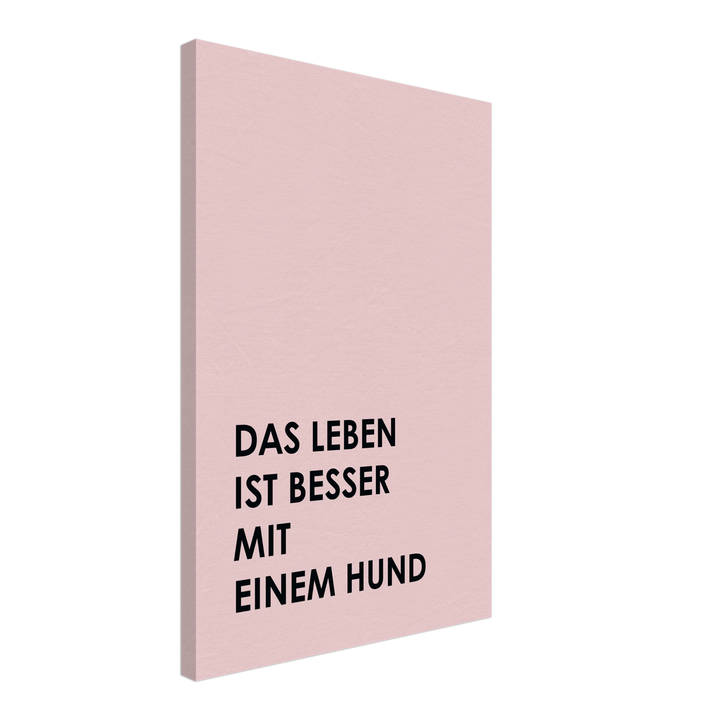b6931e29-29ba-4595-a6ed-8de89e2acf9a